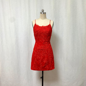 Red Lace Homecoming Dress Bodycon 2023 Corset Back